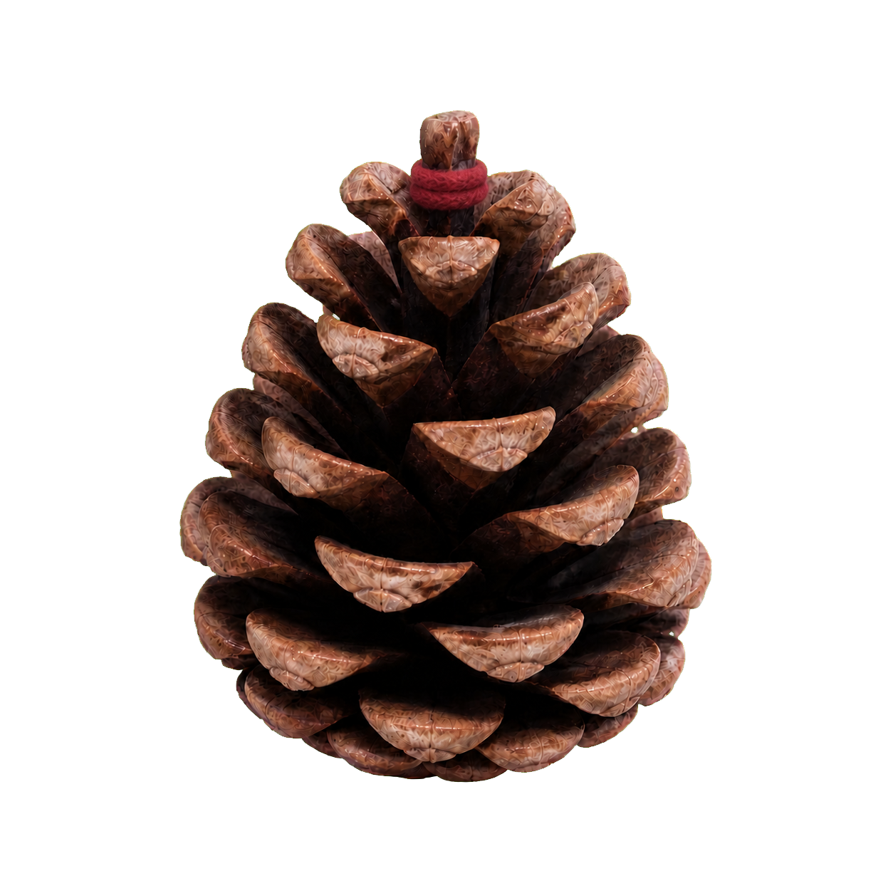 The Stoiq Pinecone, wrapped with its oxblood felt band